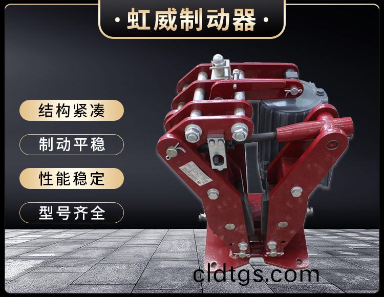 YPZ2-IV-V-VI型電力(li)液(ye)壓盤式製(zhi)動器